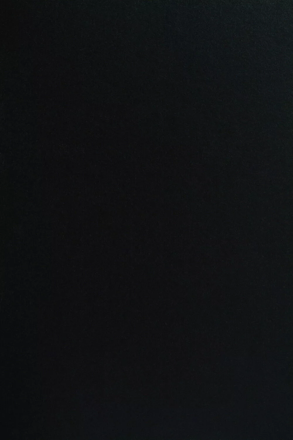 20446.jpg