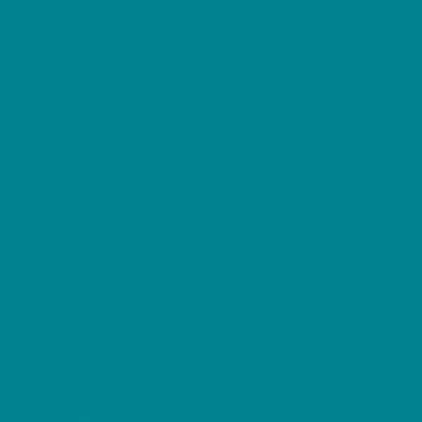 THH_Omnisports_action_65_teal.jpg